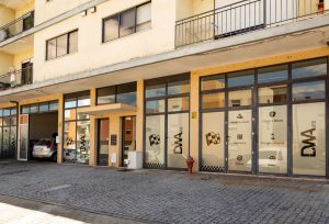 dwauto oficina automovel povoa lanhoso